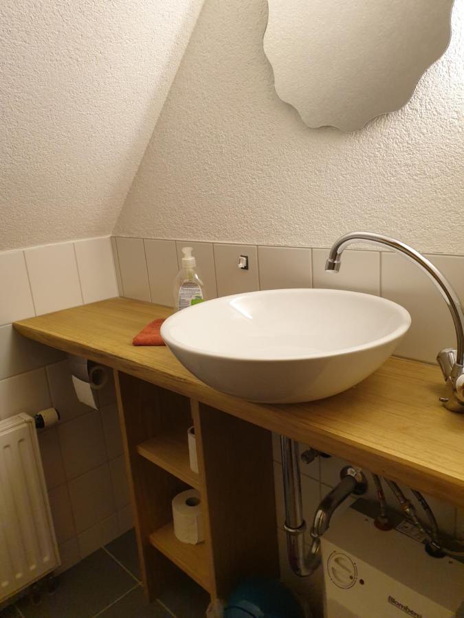 Die Gemuetliche Ferienwohnung Fuer Jedermann! Oppach Exteriör bild