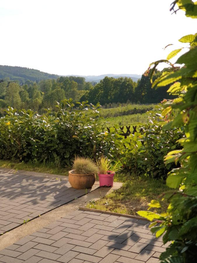 Die Gemuetliche Ferienwohnung Fuer Jedermann! Oppach Exteriör bild