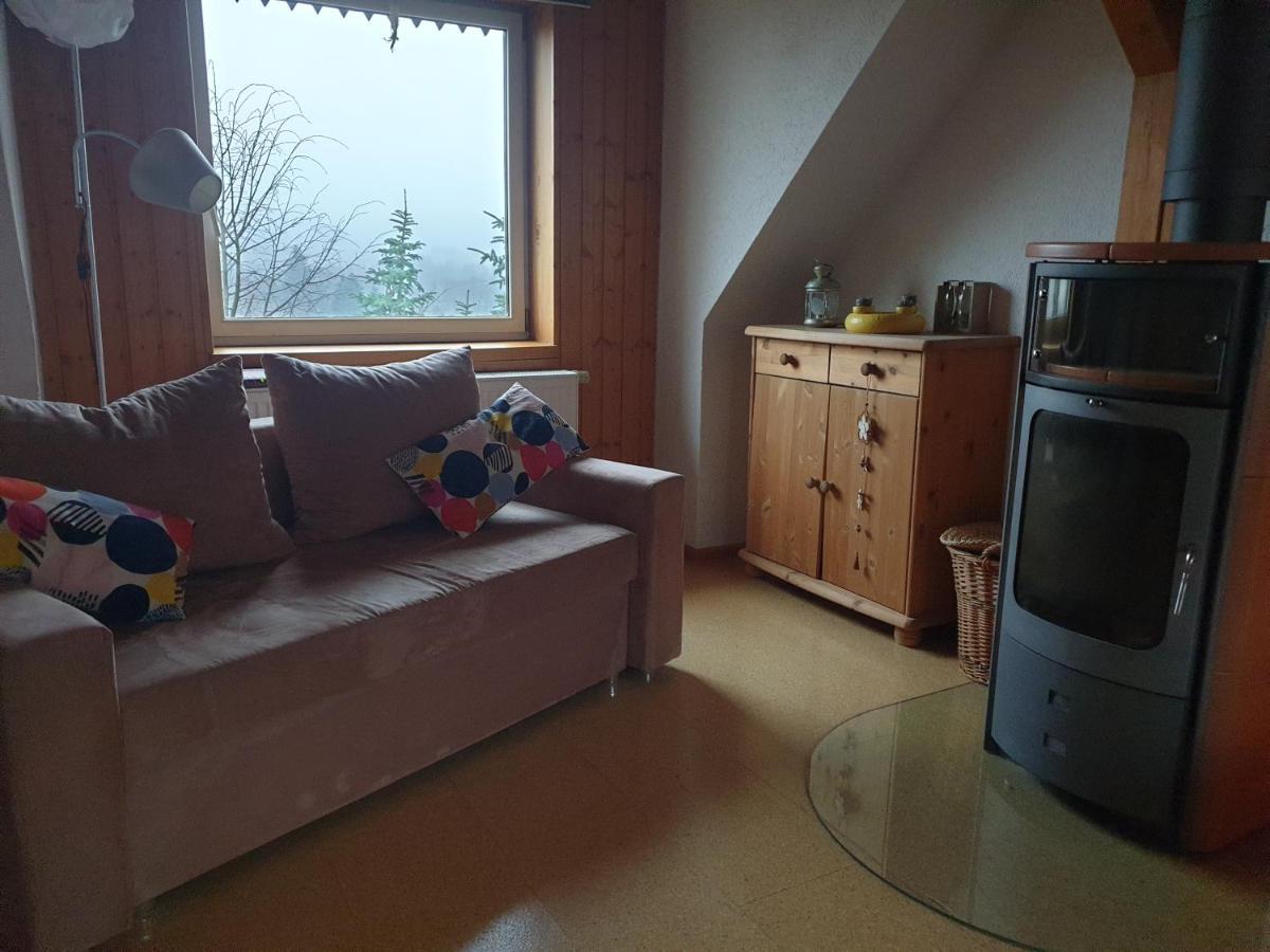 Die Gemuetliche Ferienwohnung Fuer Jedermann! Oppach Exteriör bild